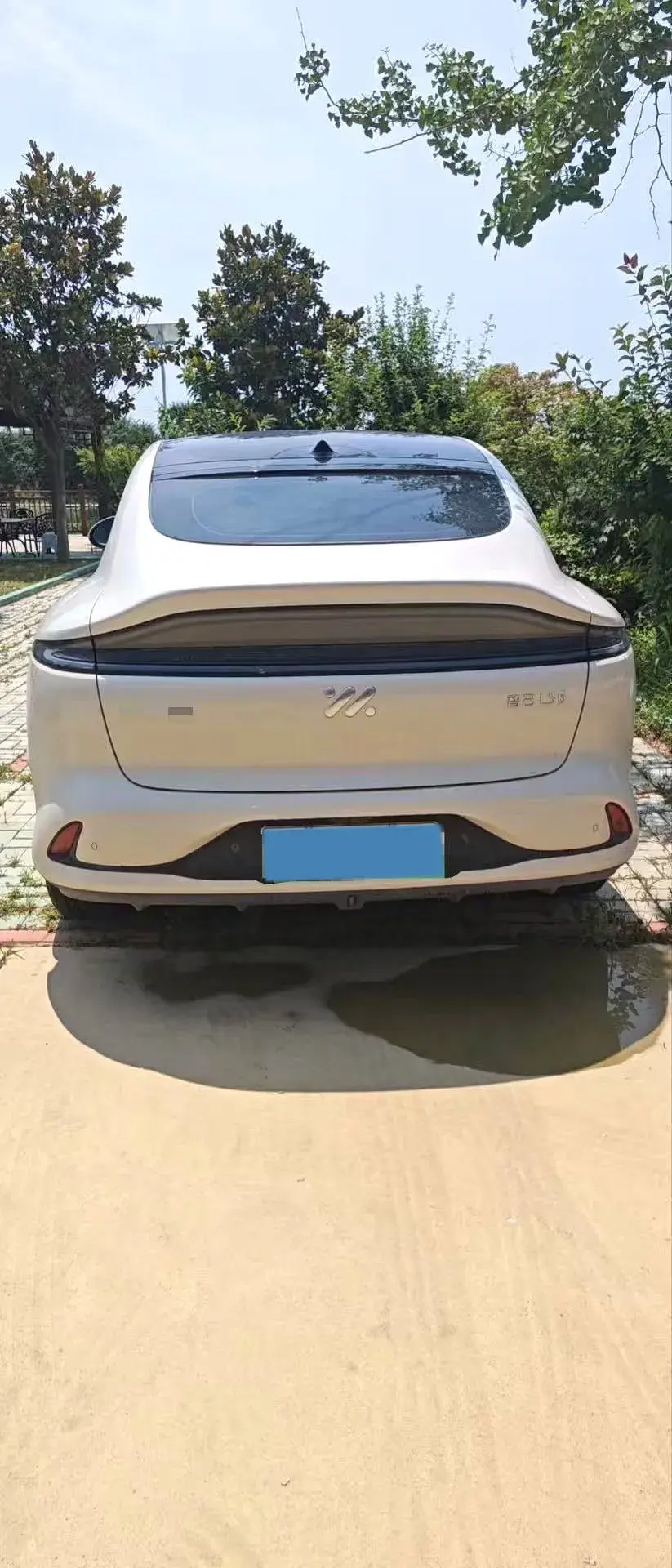 2025 IM LS6 thumbnail 3