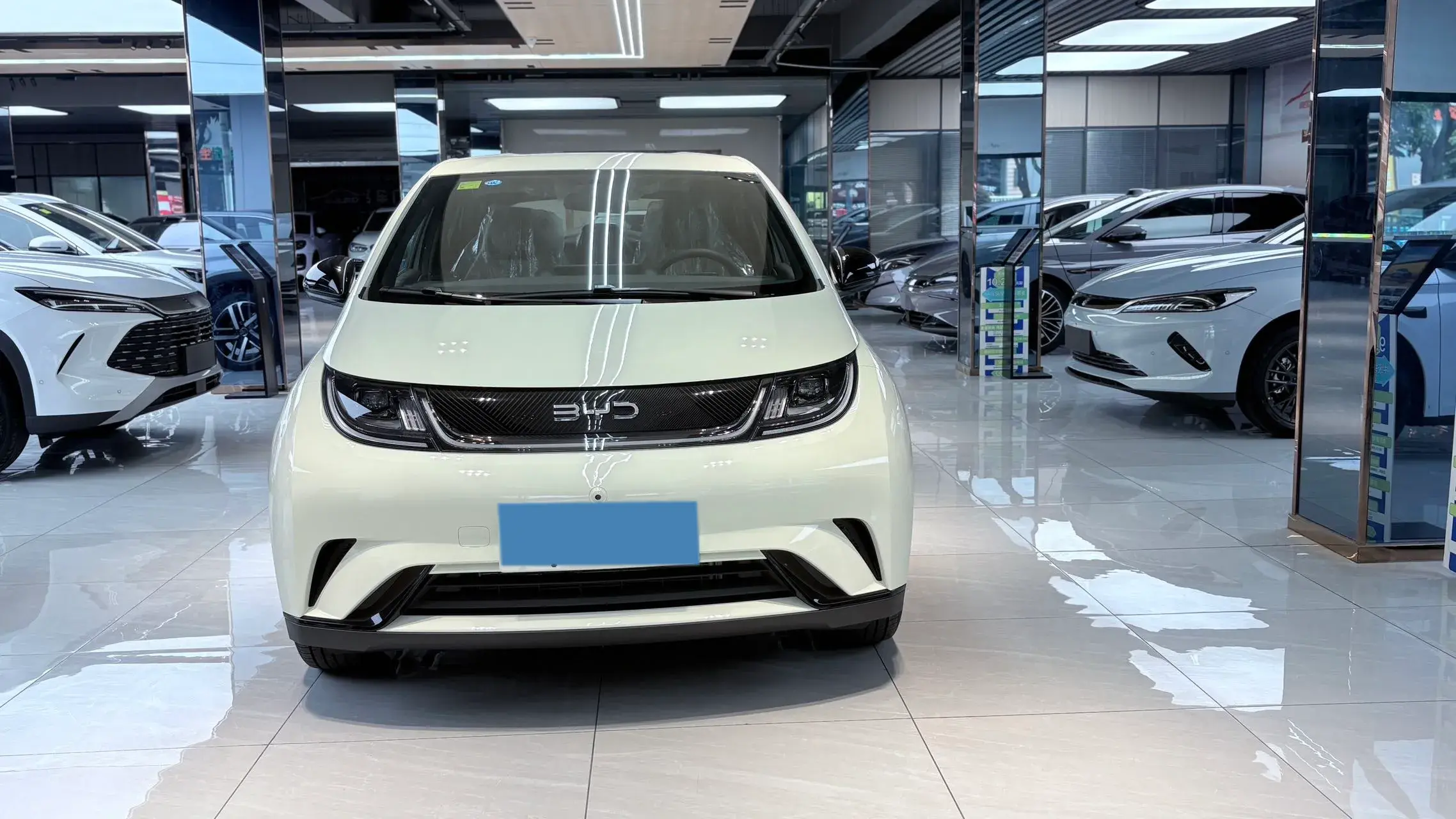 2025 BYD DOLPHIN thumbnail 2