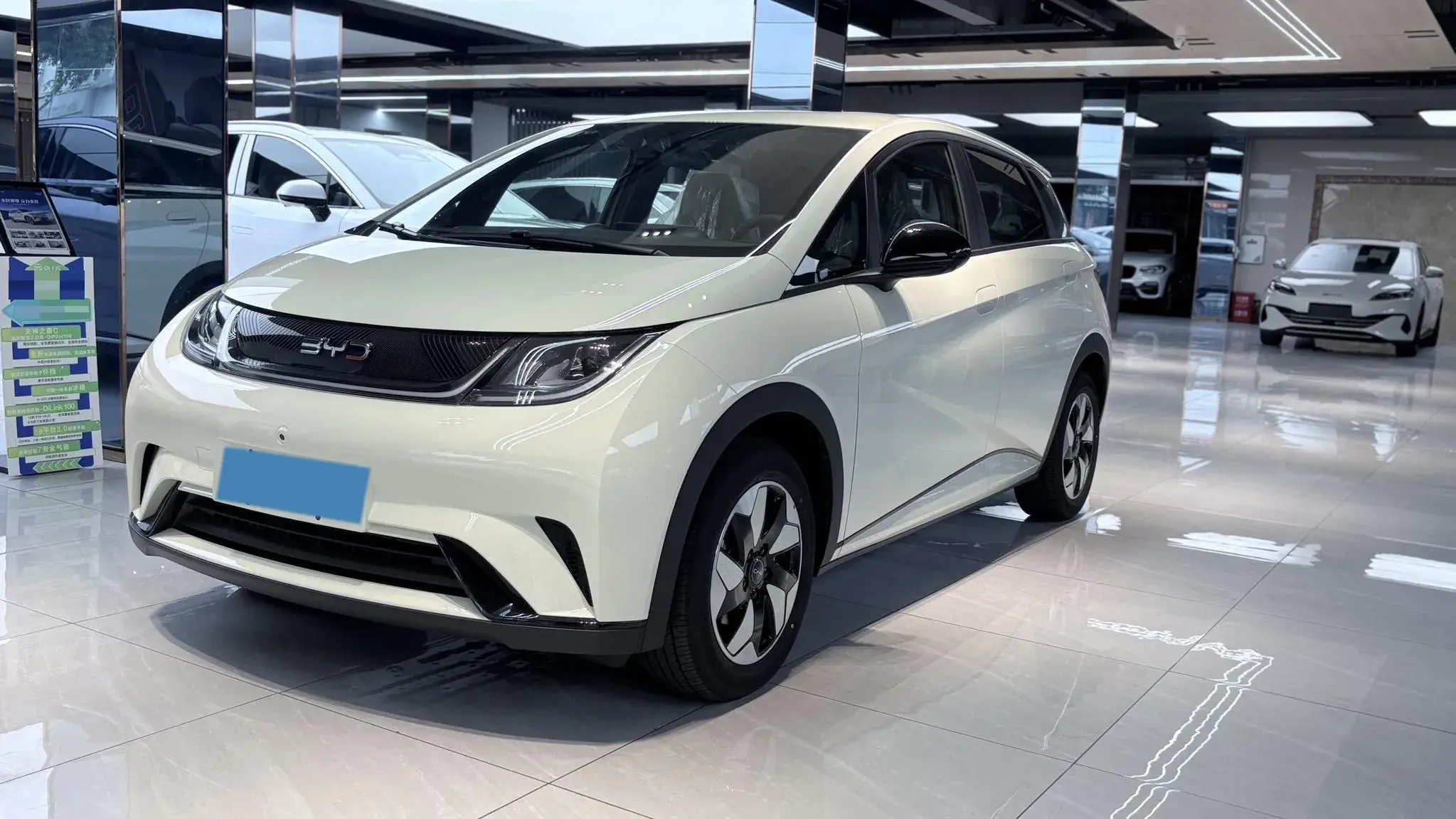 2025 BYD DOLPHIN view 1