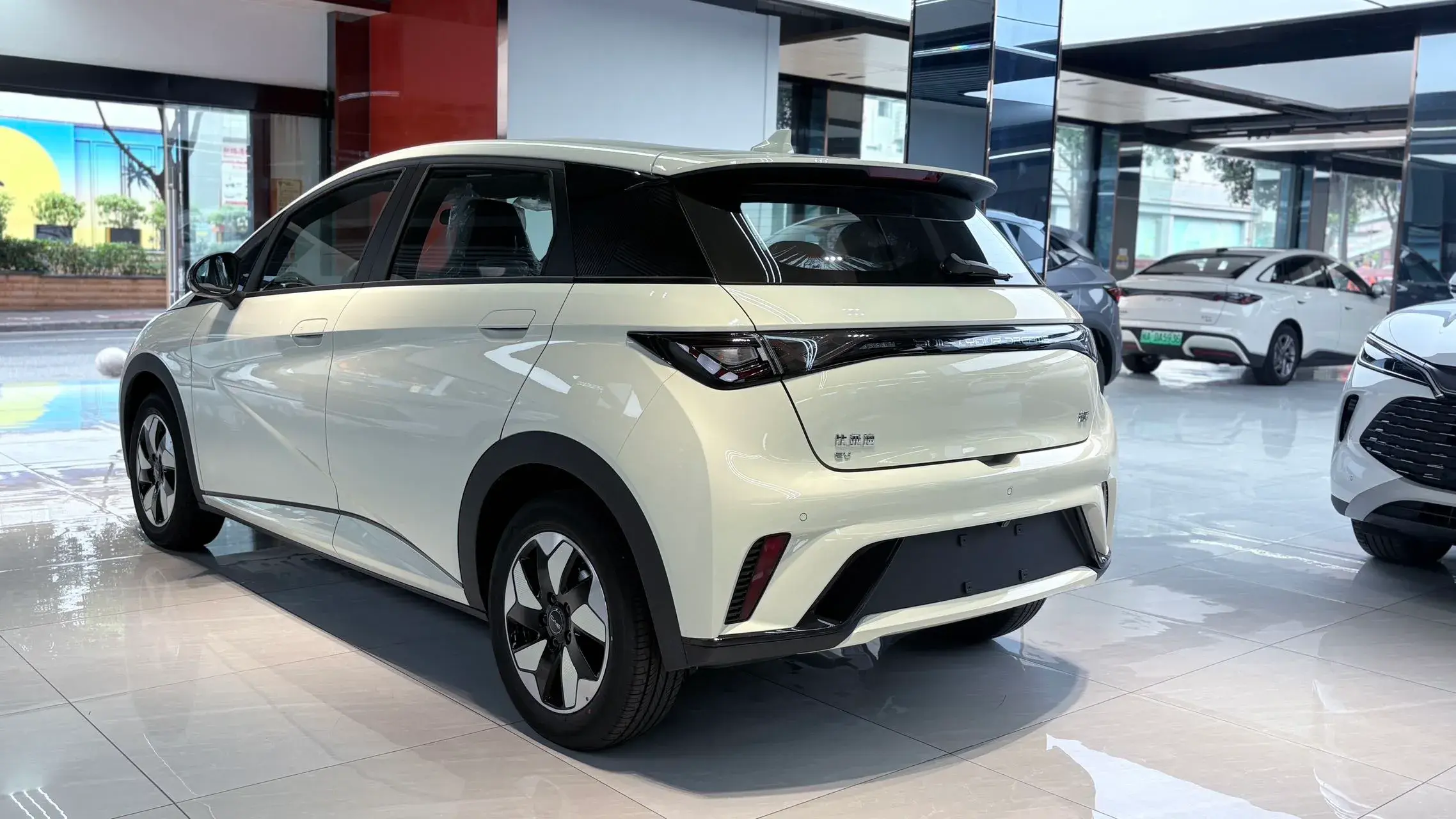 2025 BYD DOLPHIN thumbnail 4