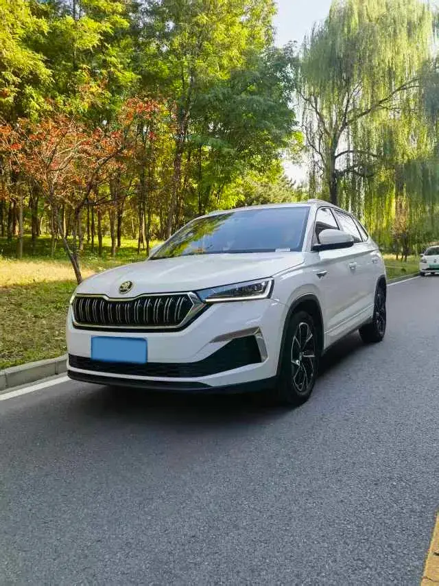 2020 SKODA KAMIQ view 1