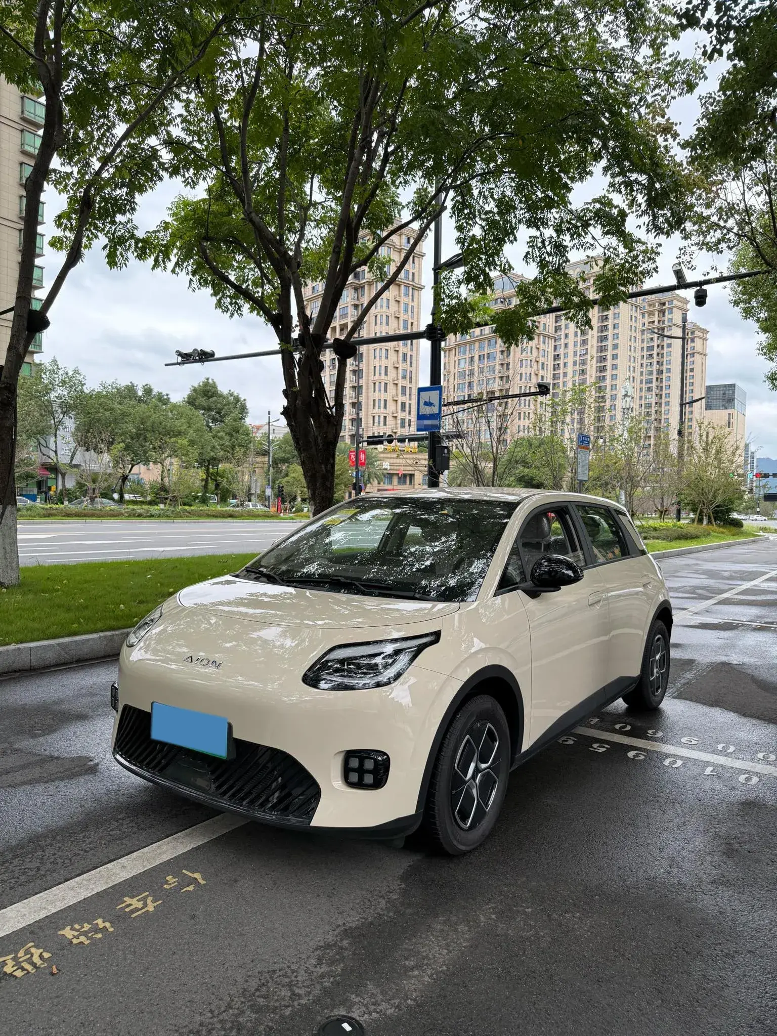 2025 AION AION view 1