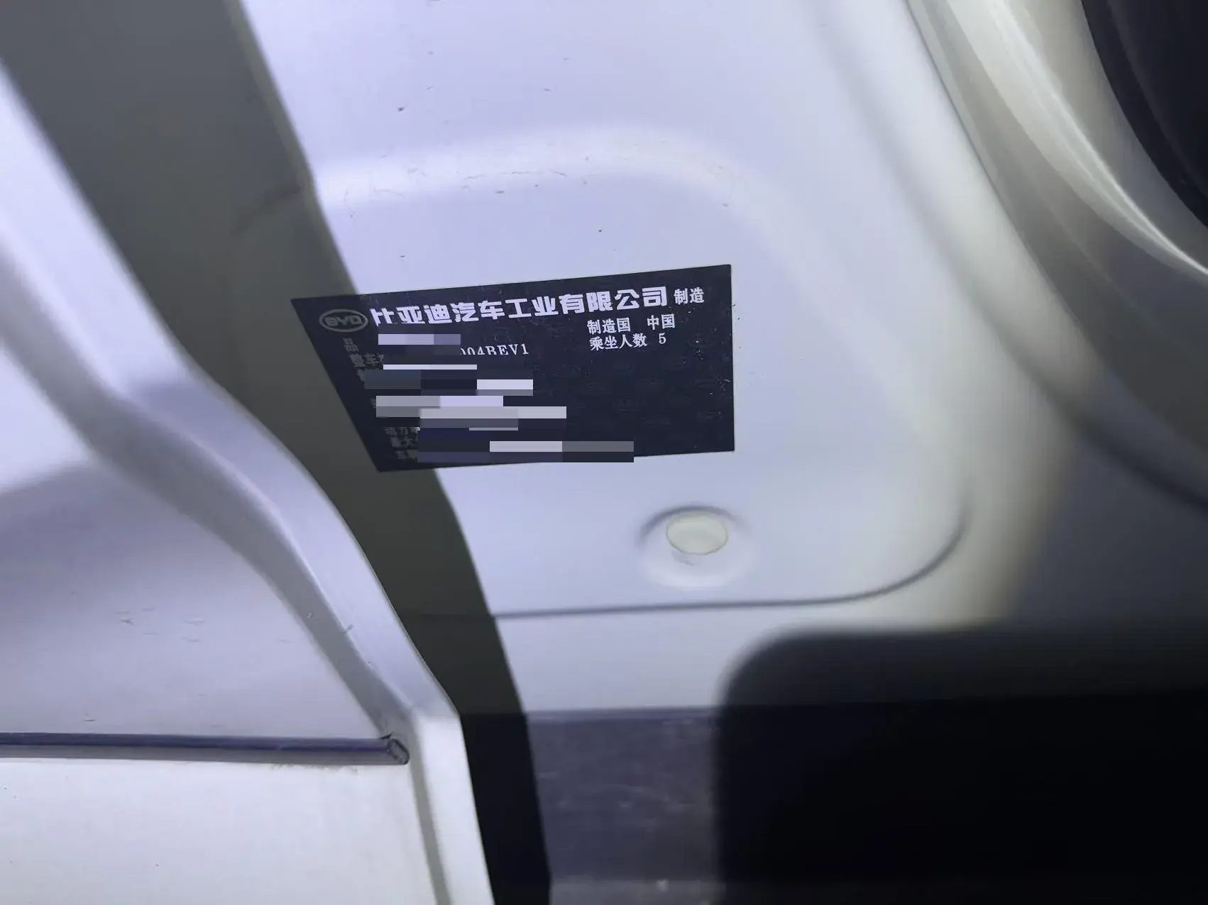 2021 BYD DOLPHIN thumbnail 3