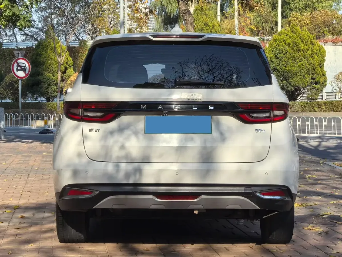 2021 Livan Maple 80v BEV,autocango,china used car exporter,china ev exporter,chinese used car exporter,chinese used ev exporter