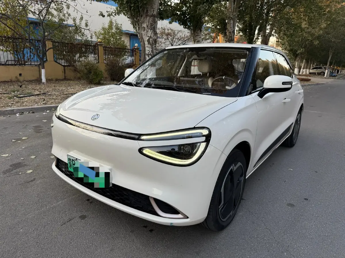 2024 DongFeng Nammi 01 BEV 31.45KWH