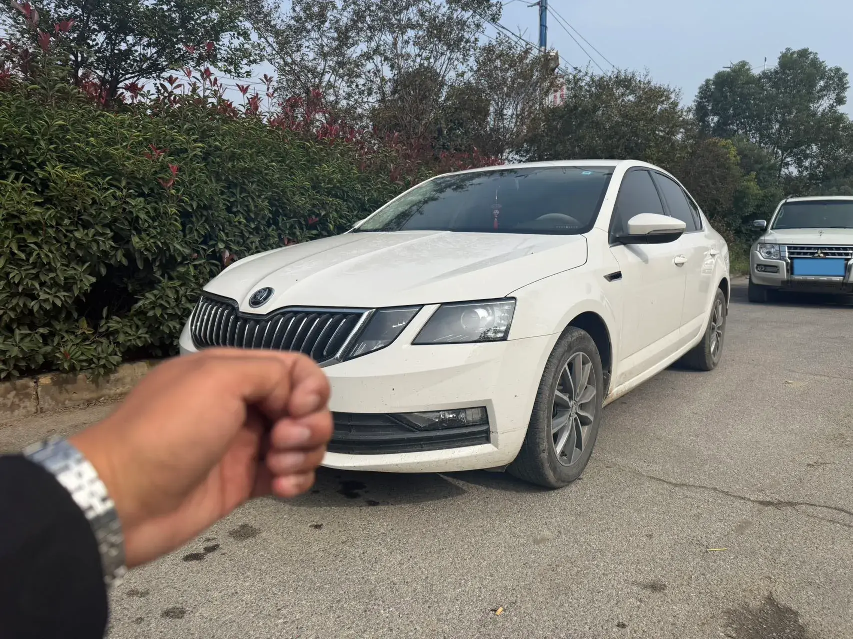2019 SKODA OCTAVIA view 1