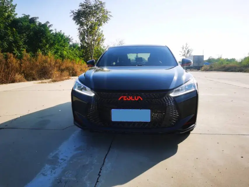 2021 DONGFENG AEOLUS thumbnail 2