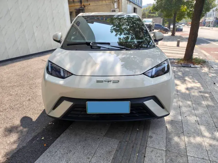 2023 BYD SEAGULL thumbnail 2