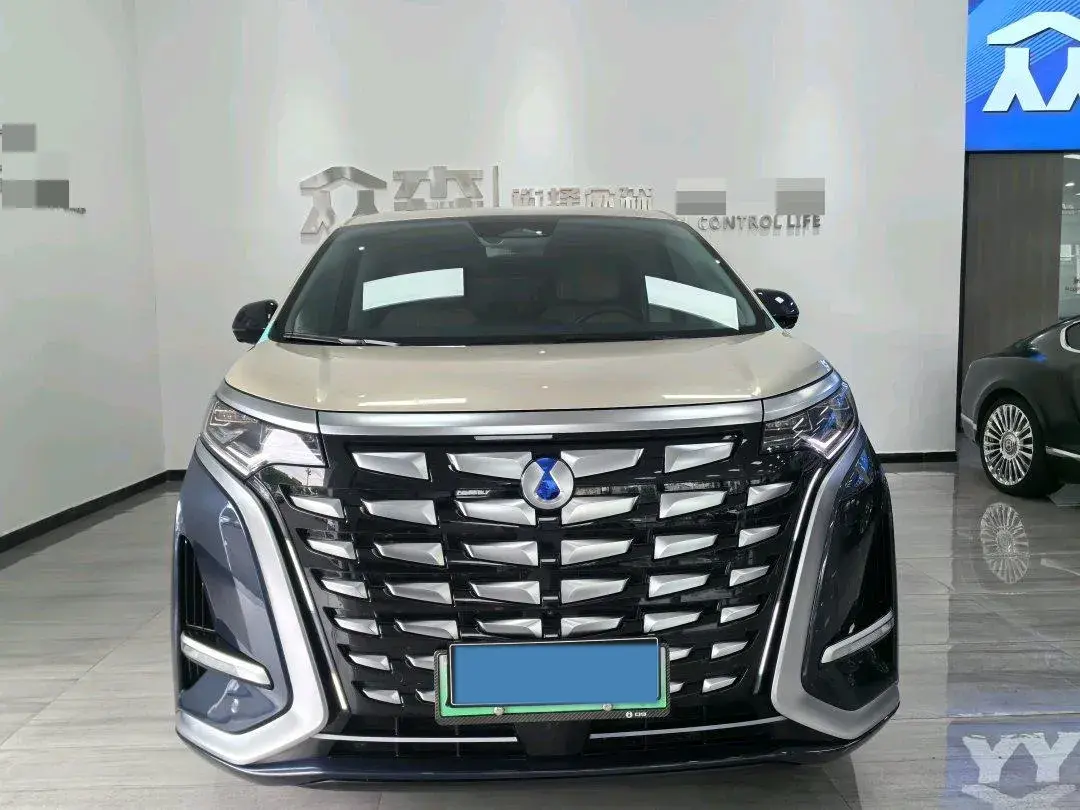 2024 DENZA D9 thumbnail 2