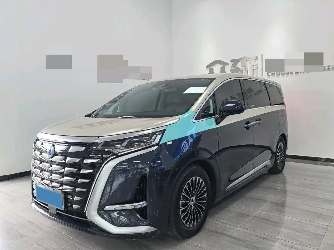 2024 DENZA D9 view 1