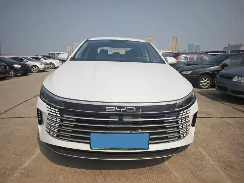 2024 BYD DESTROYER thumbnail 2