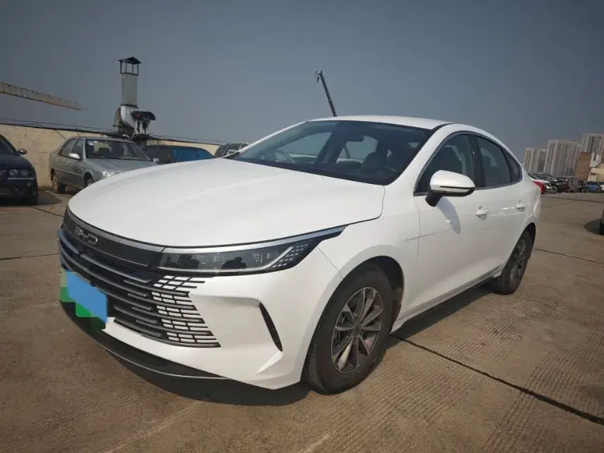 2024 BYD DESTROYER view 1
