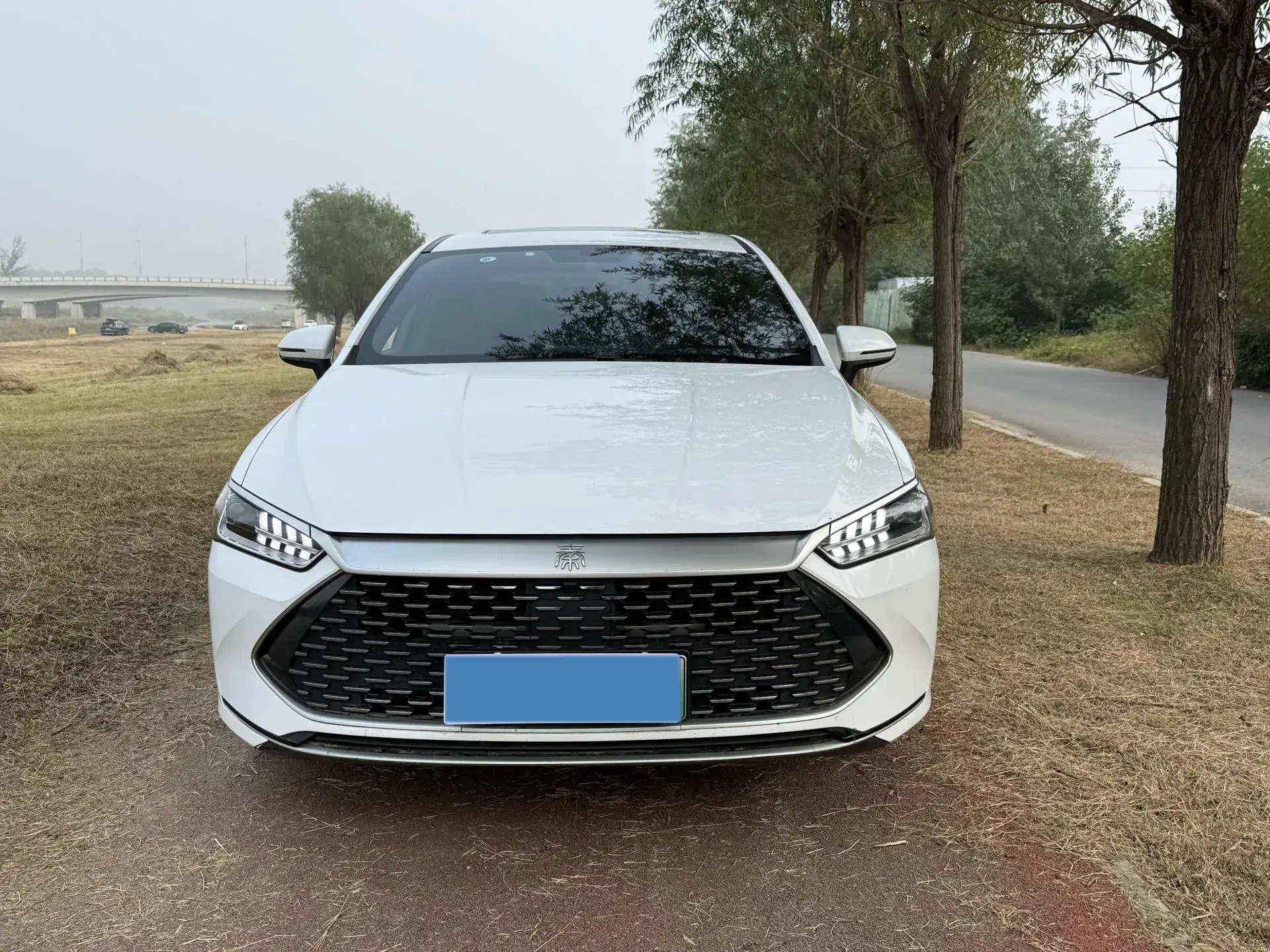 2021 BYD QIN thumbnail 2