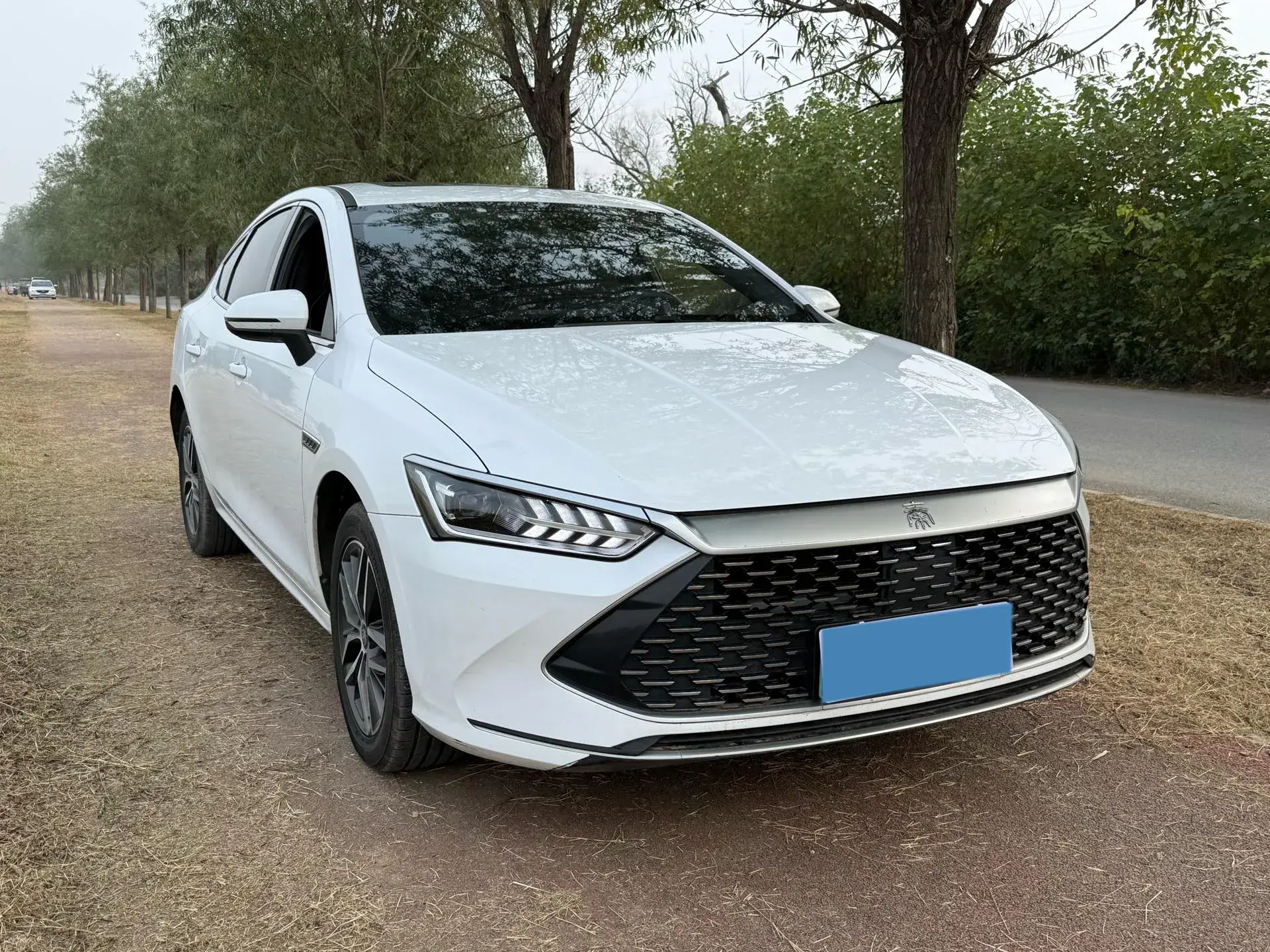 2021 BYD QIN thumbnail 3