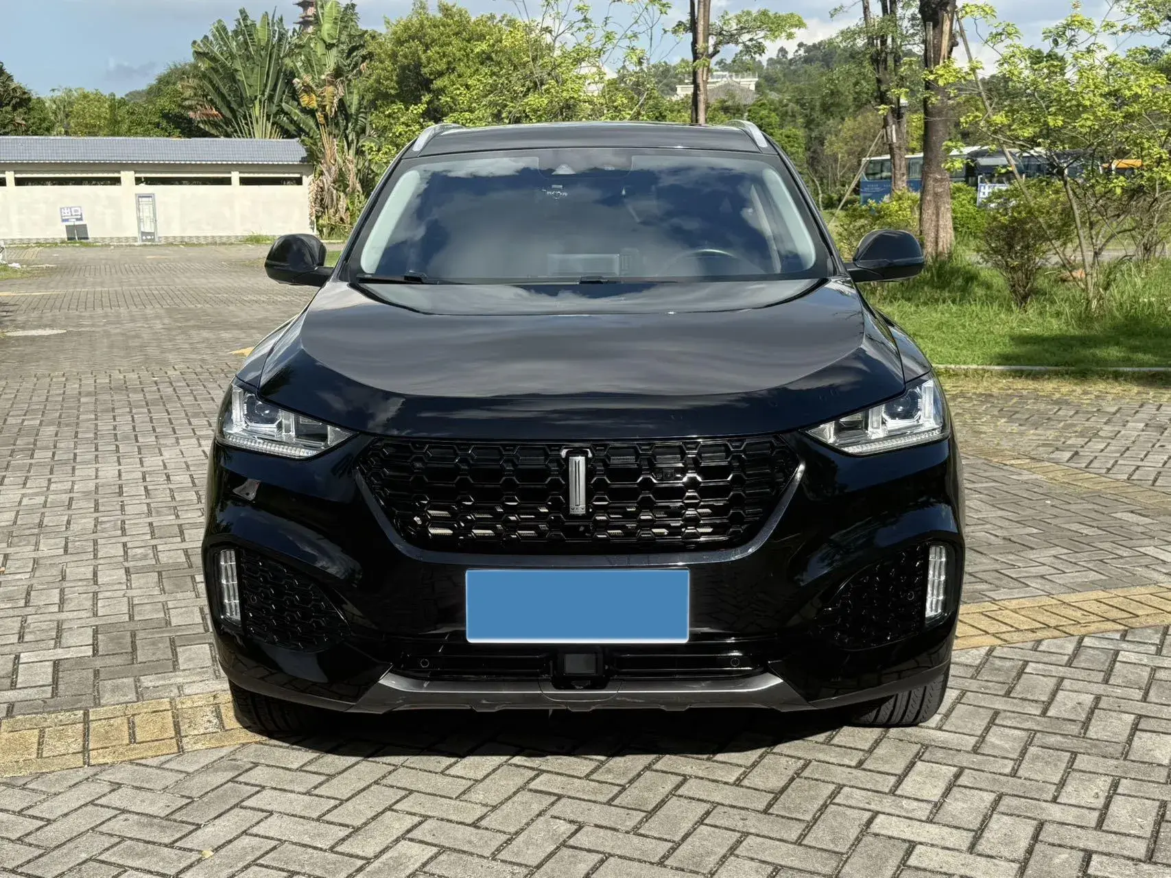 2019 WEY VV6 thumbnail 2