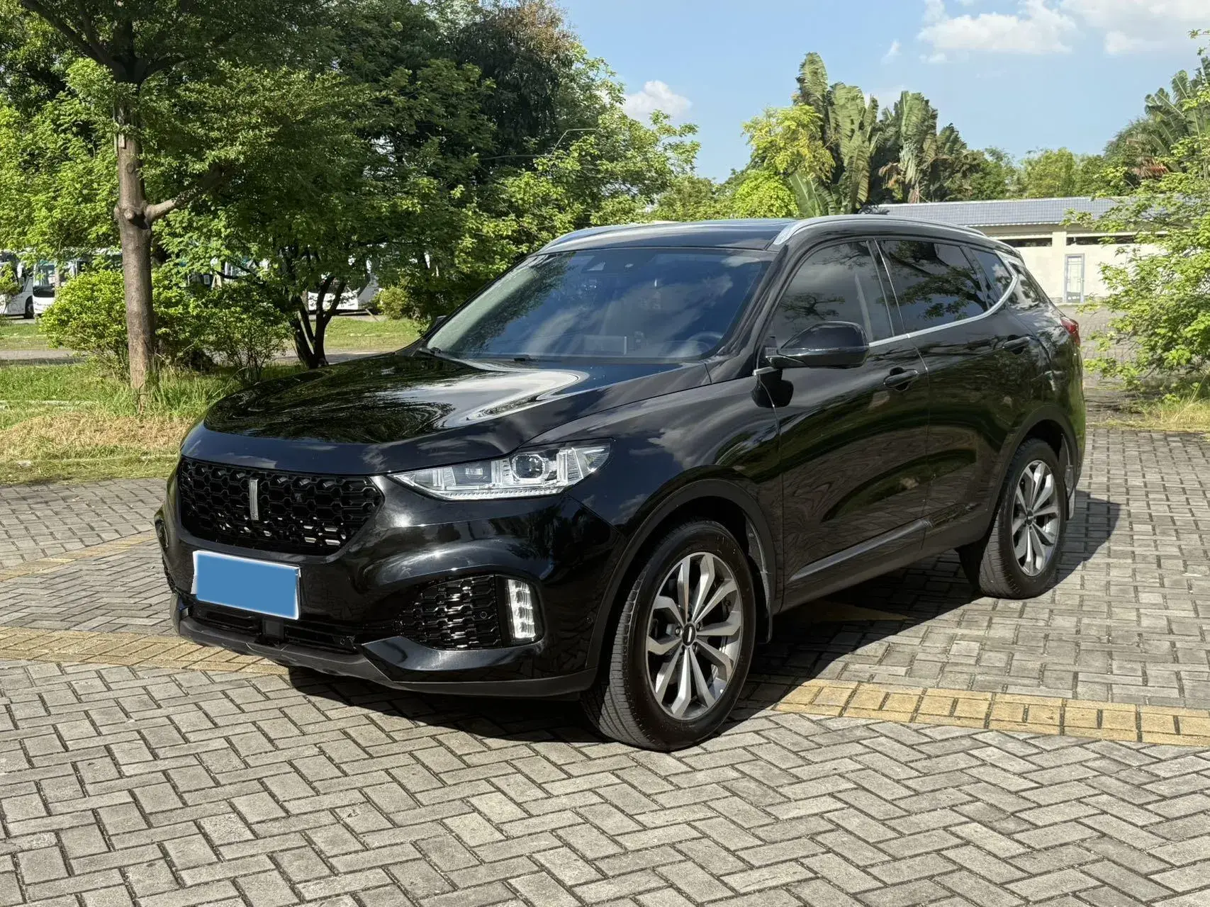 2019 WEY VV6 view 1