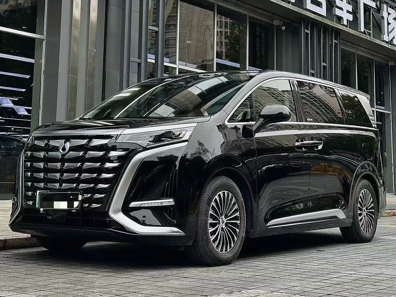 2024 DENZA D9 view 1