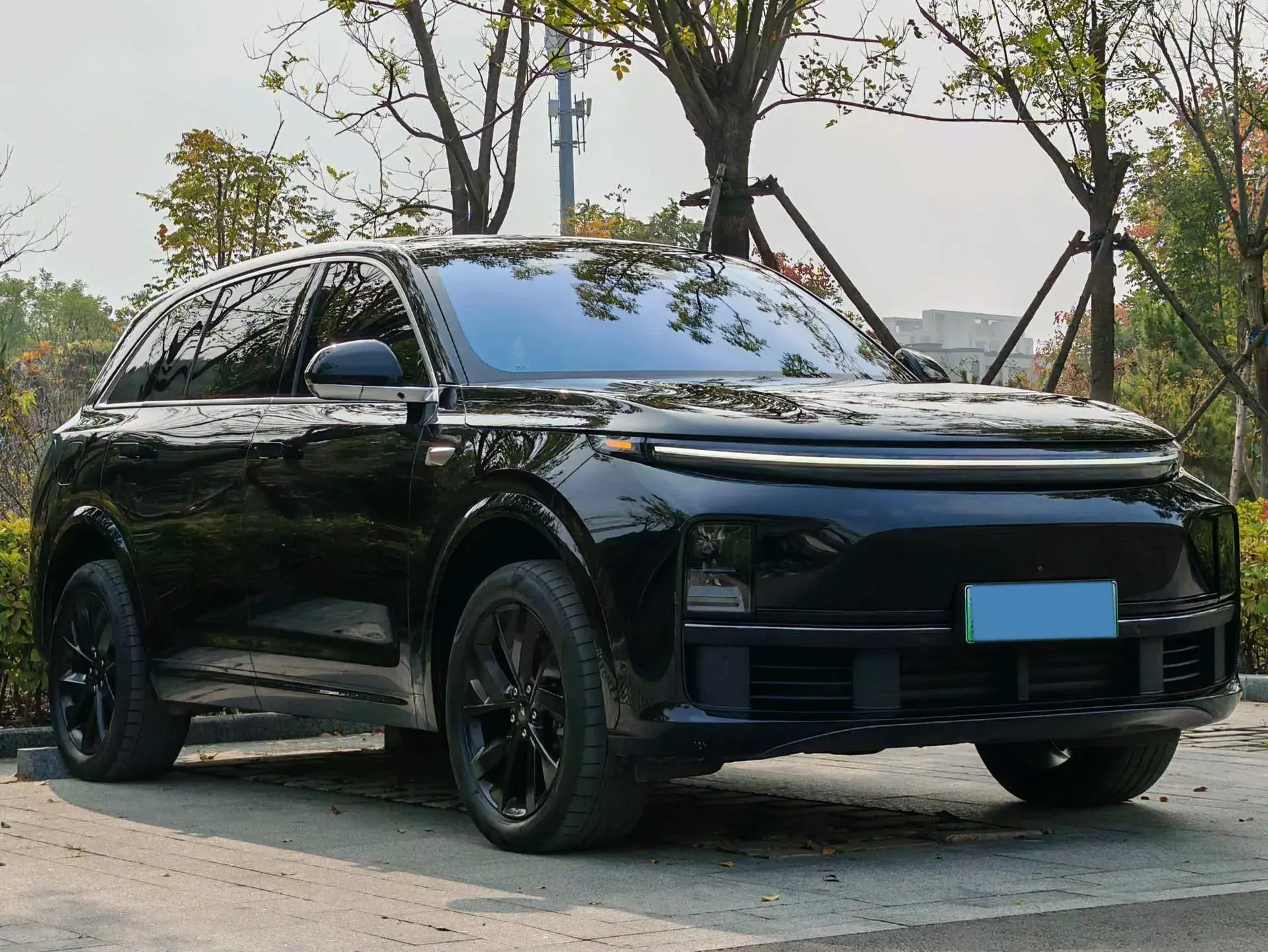 2023 LI L7 thumbnail 3