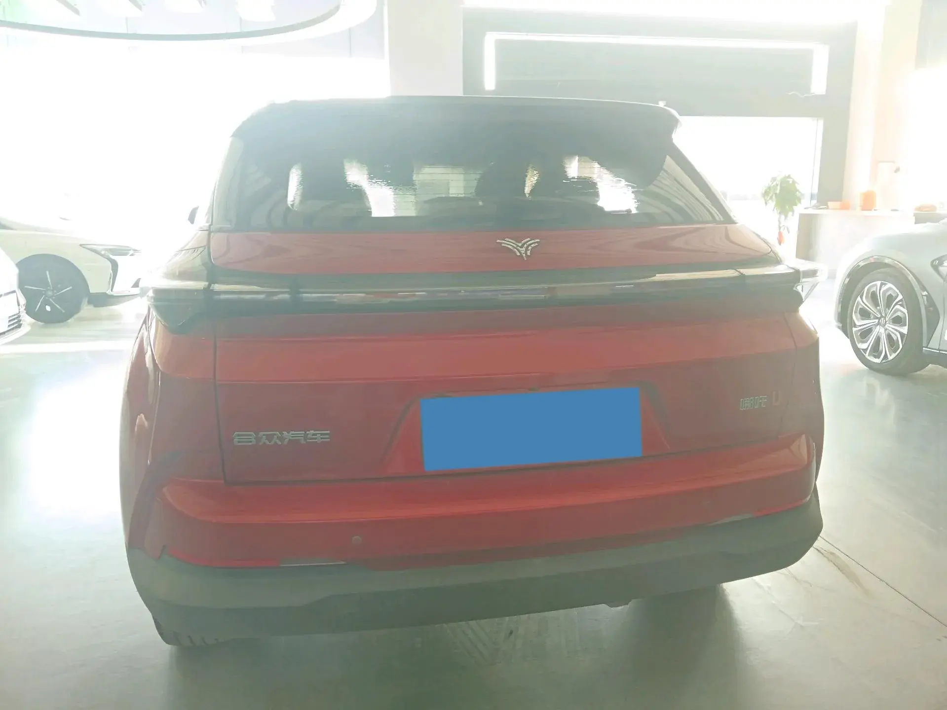 2020 NETA U thumbnail 4