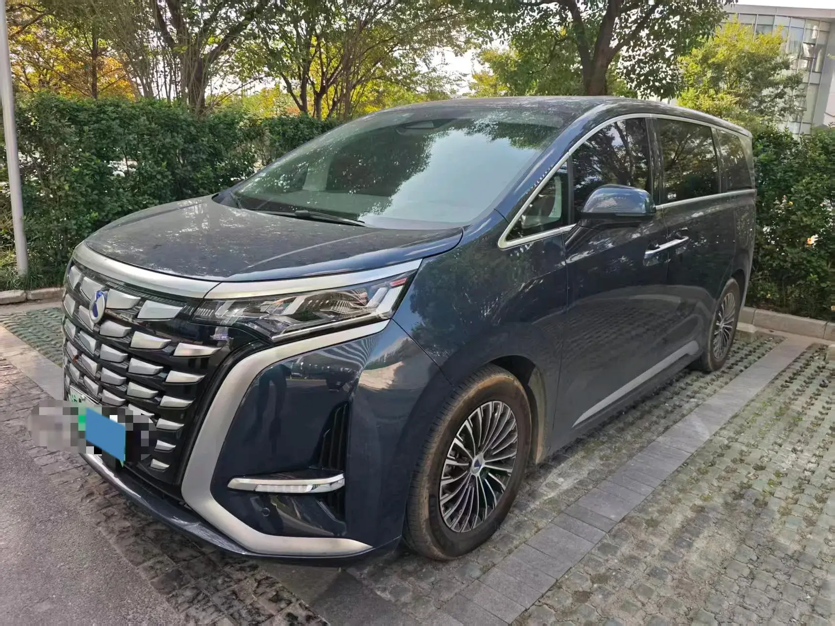 2022 DENZA D9 view 1