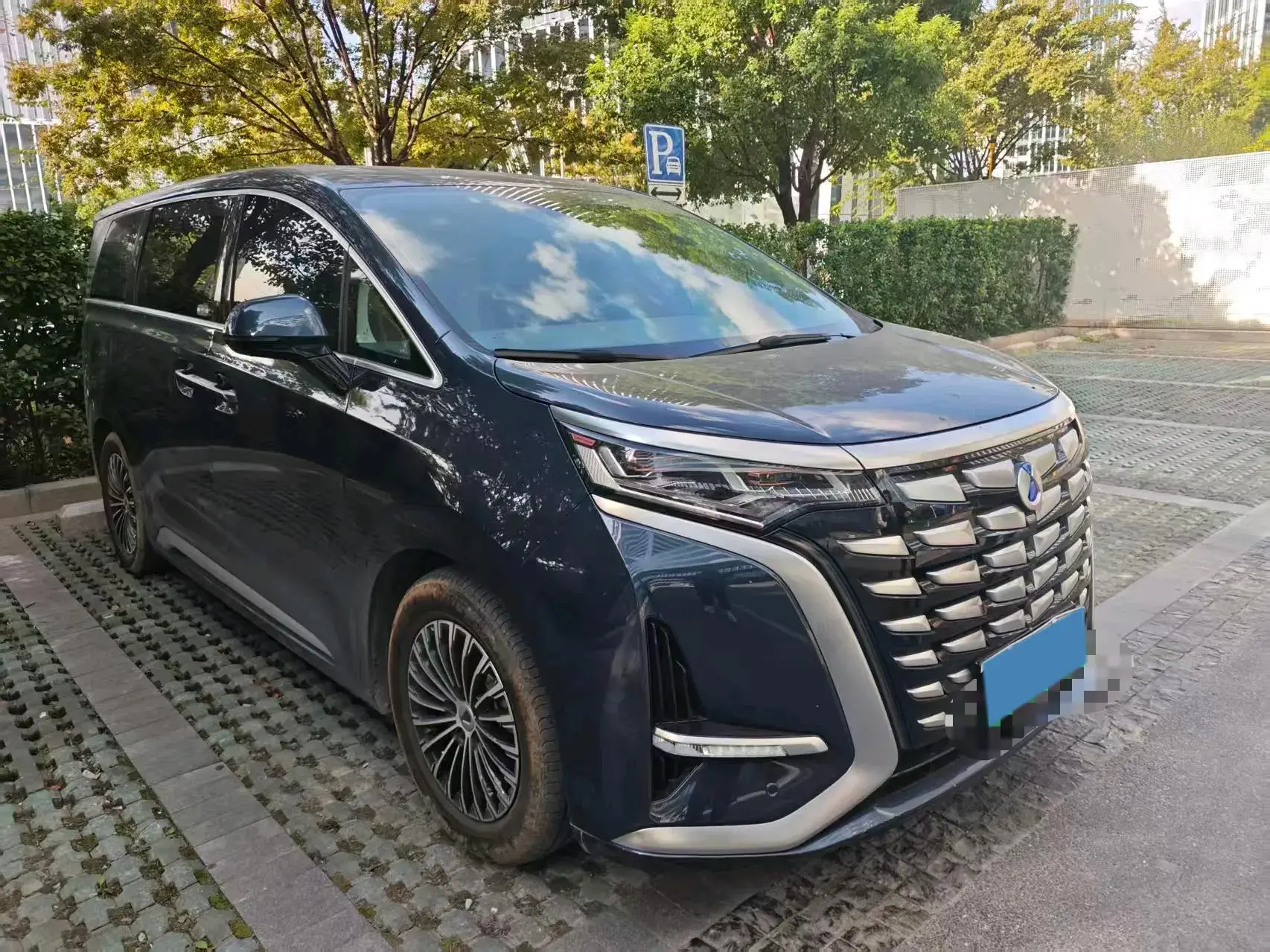 2022 DENZA D9 thumbnail 2