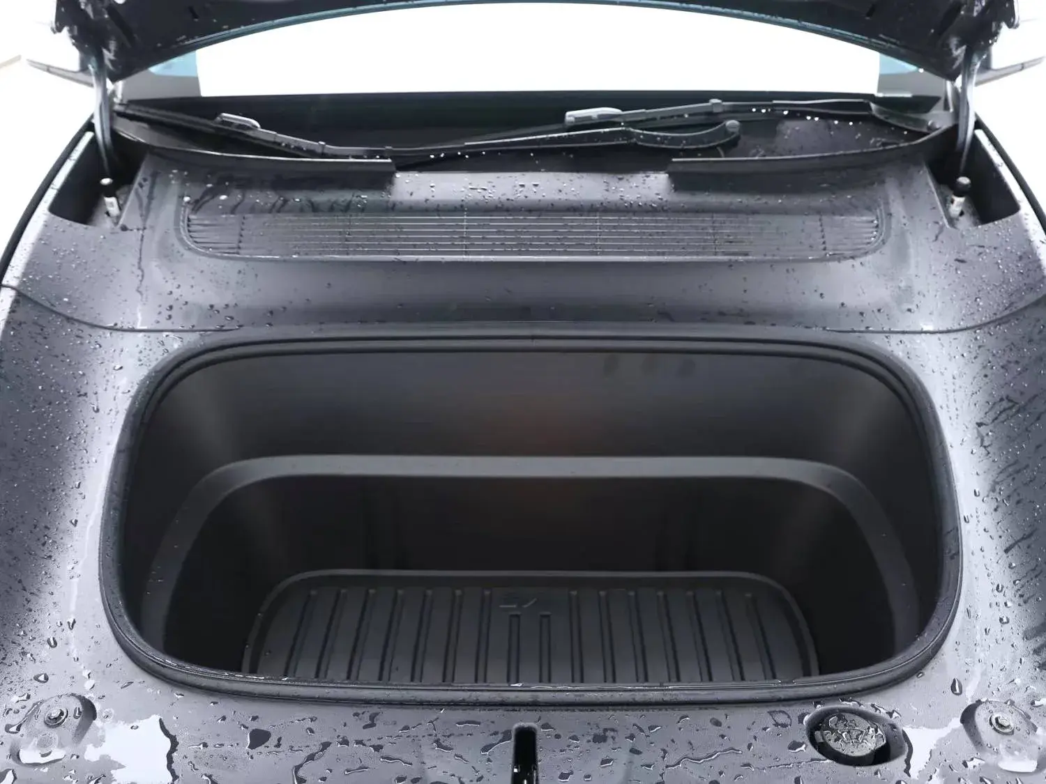 2025 TESLA MODEL thumbnail 4