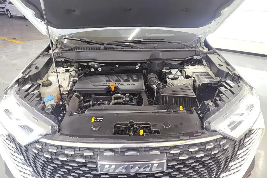 2021 HAVAL H6 thumbnail 4