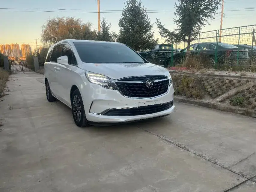 2020 BUICK GL8 thumbnail 3