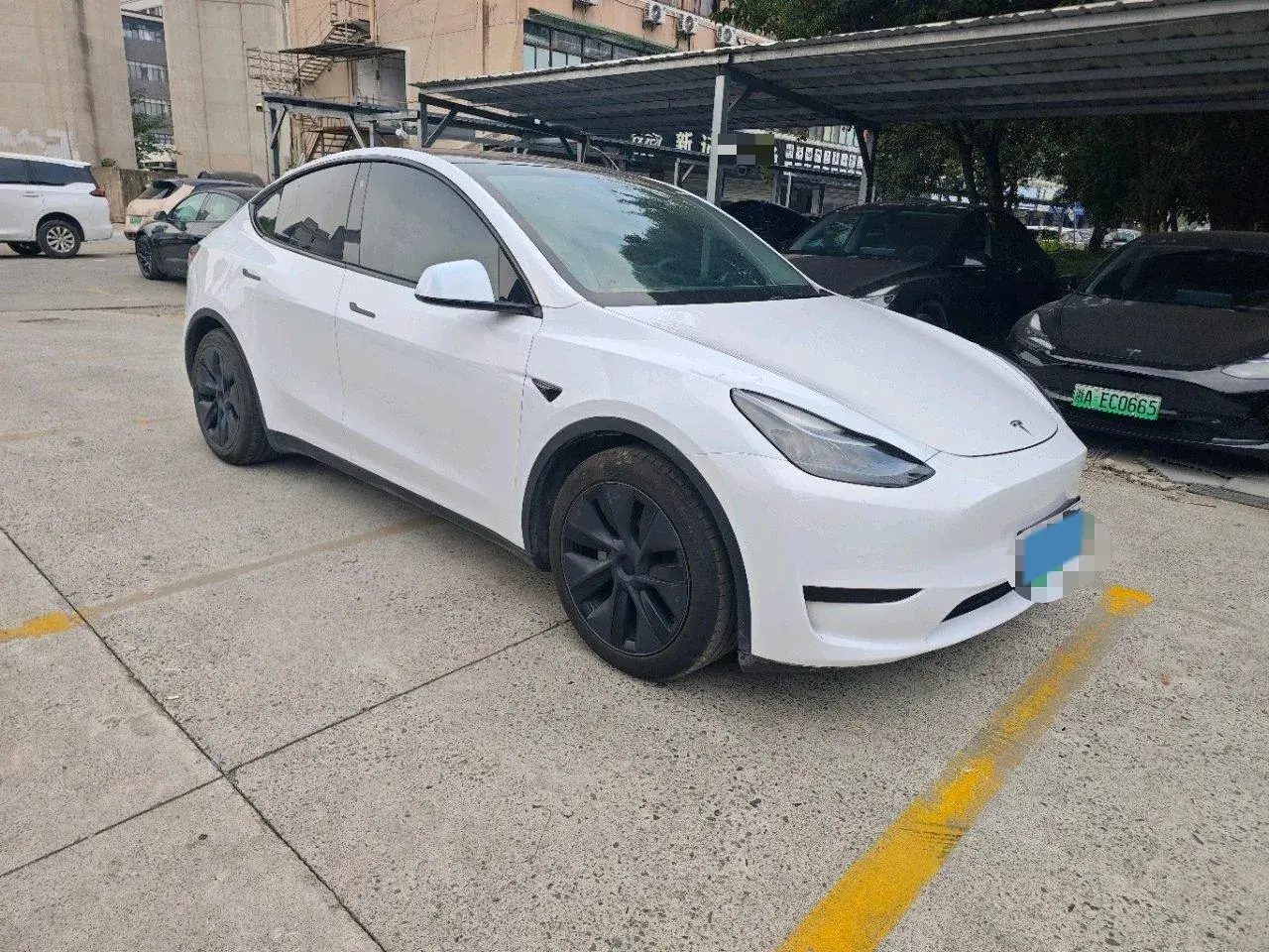 2023 TESLA MODEL thumbnail 3