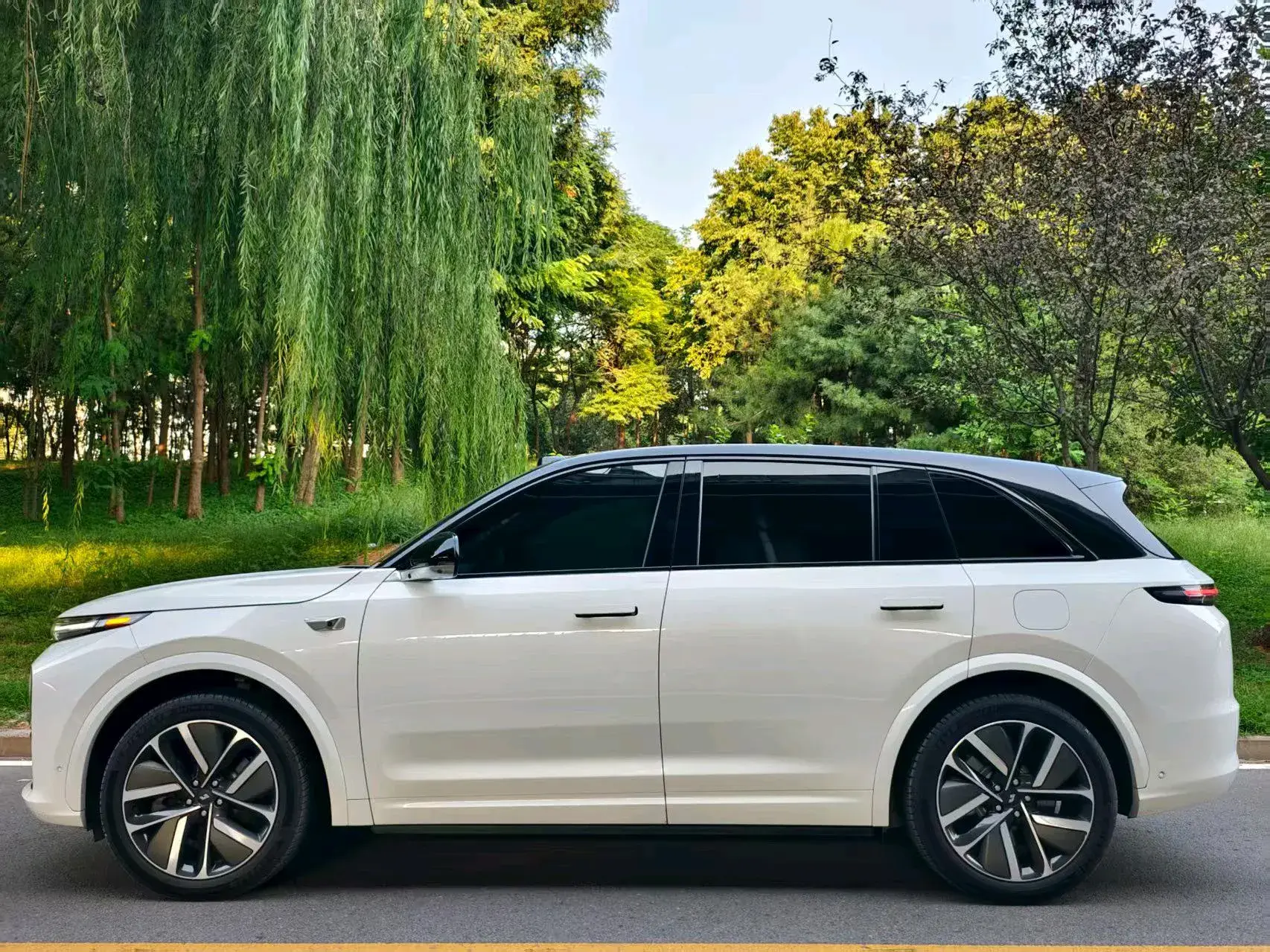 2023 LI L7 thumbnail 3