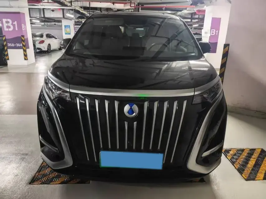 2022 DENZA D9 thumbnail 2