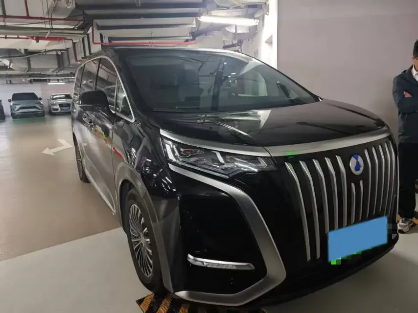 2022 DENZA D9 thumbnail 3