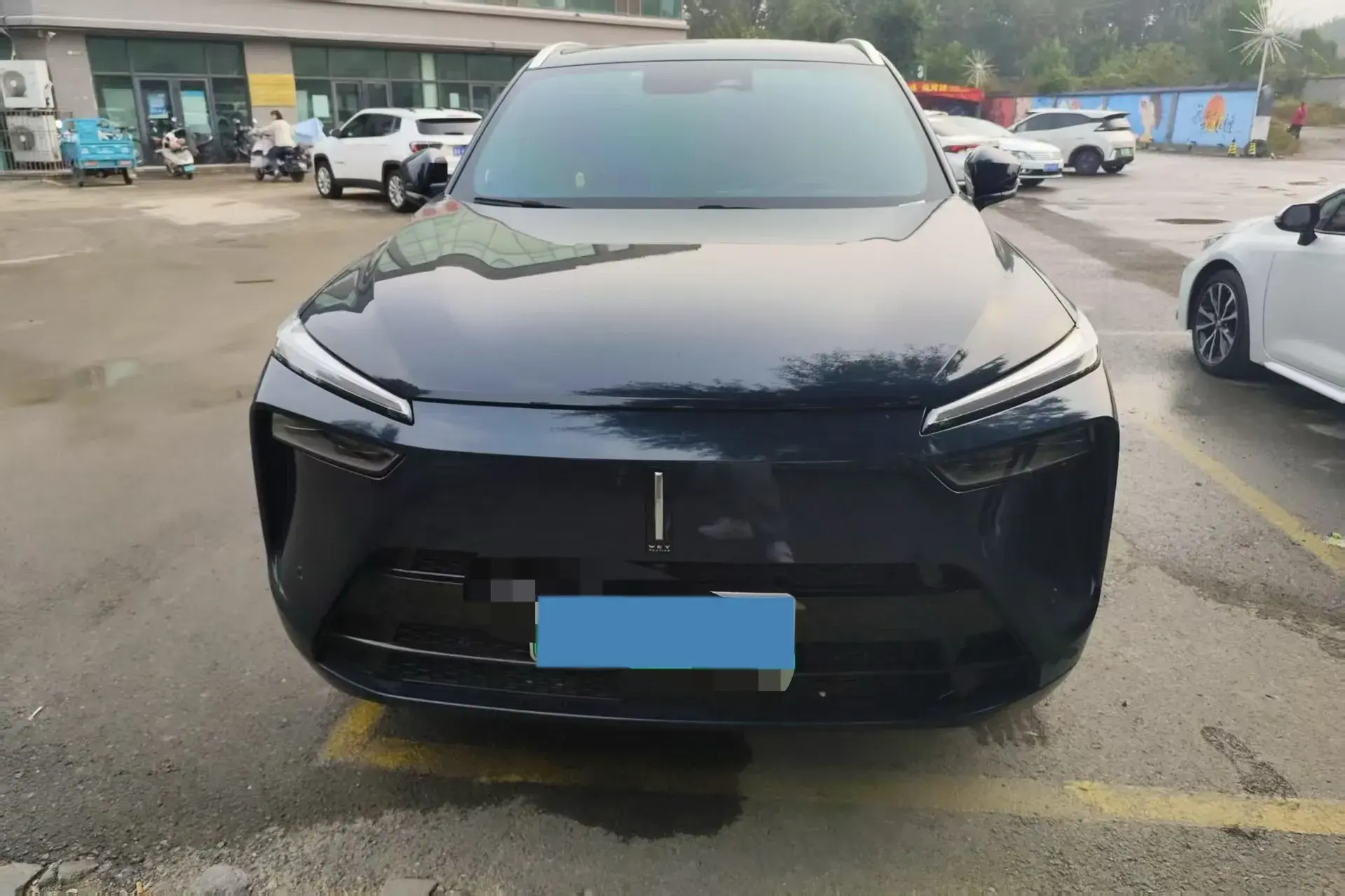 2023 WEY BLUEMOUNTAIN thumbnail 2