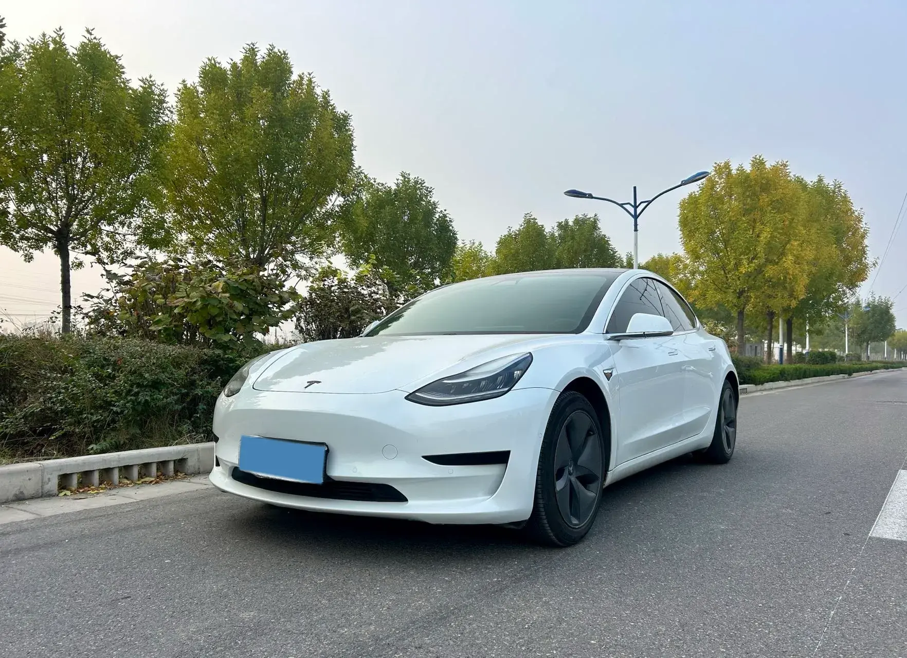 2020 TESLA MODEL view 1