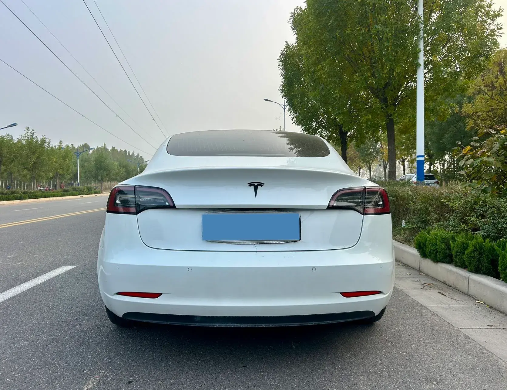 2020 TESLA MODEL thumbnail 4