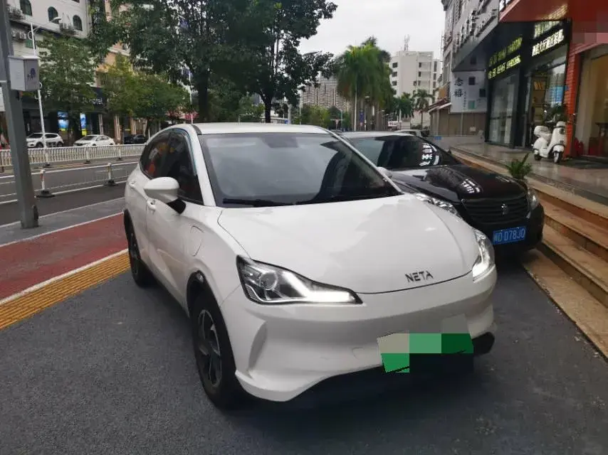 2021 NETA V thumbnail 3