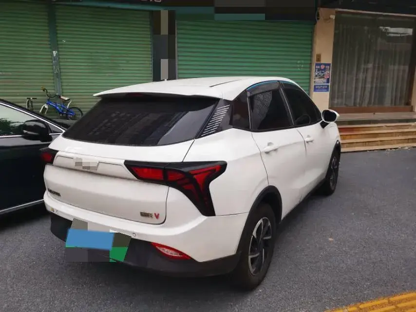 2021 NETA V thumbnail 4