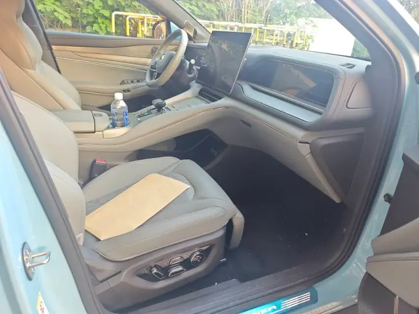 2024 DENZA N7 thumbnail 3