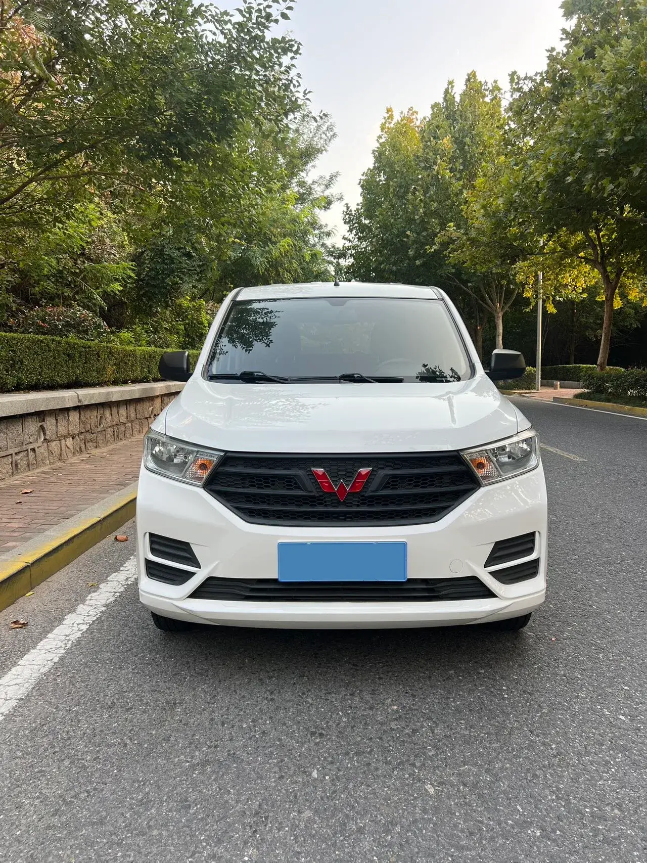2021 WULING HONGGUANG thumbnail 2
