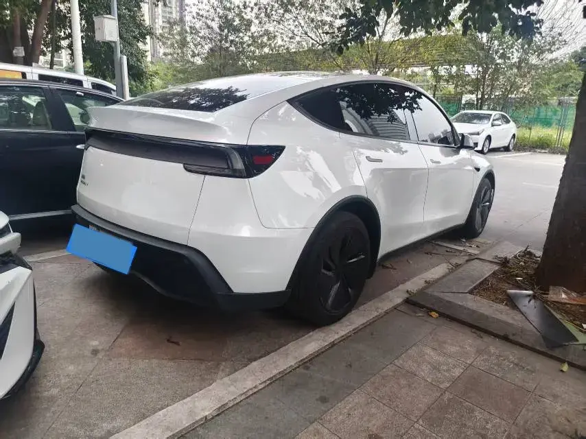 2025 TESLA MODEL thumbnail 2