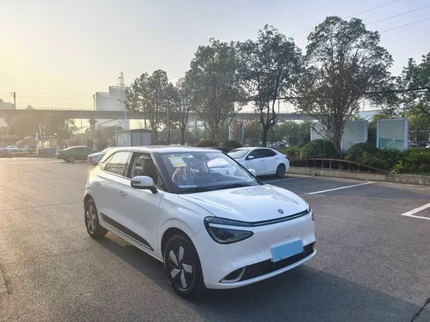 2023 DONGFENG NAMMI thumbnail 3