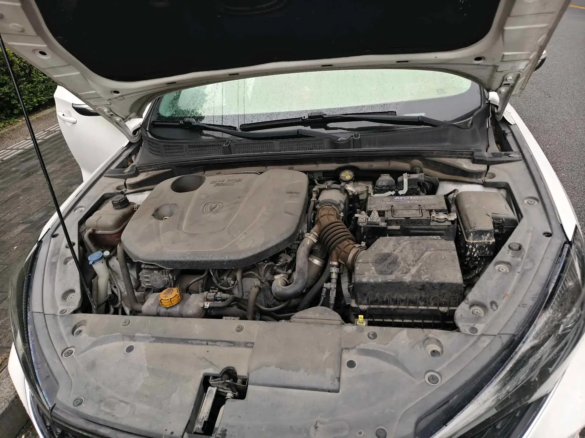 2020 CHANGAN EADO thumbnail 2