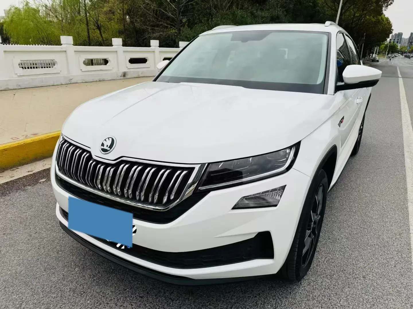 2019 SKODA KODIAK view 1