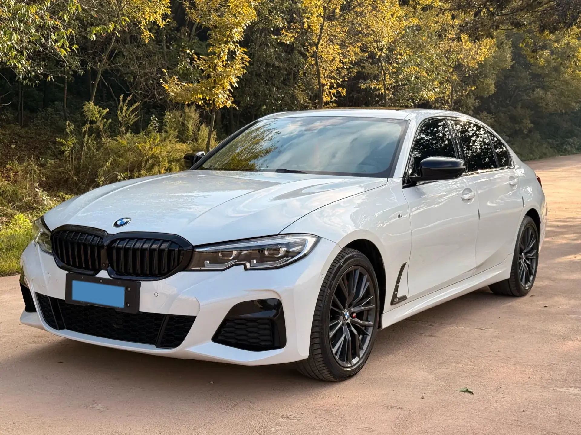 2020 BMW 3 view 1