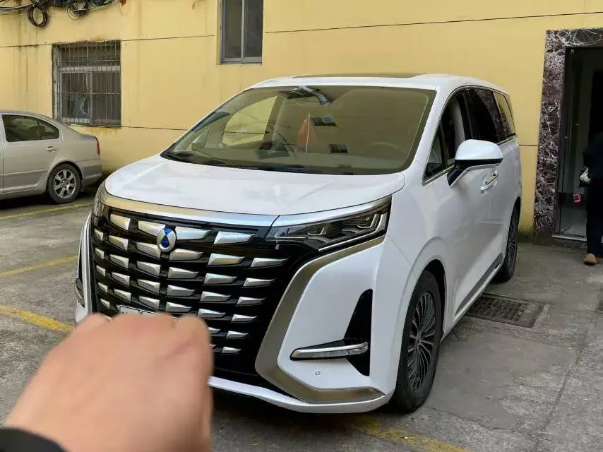 2022 DENZA D9 view 1