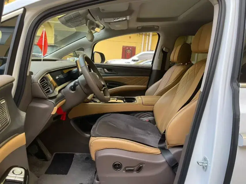 2022 DENZA D9 thumbnail 2