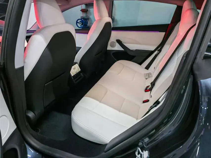 2023 TESLA MODEL thumbnail 4