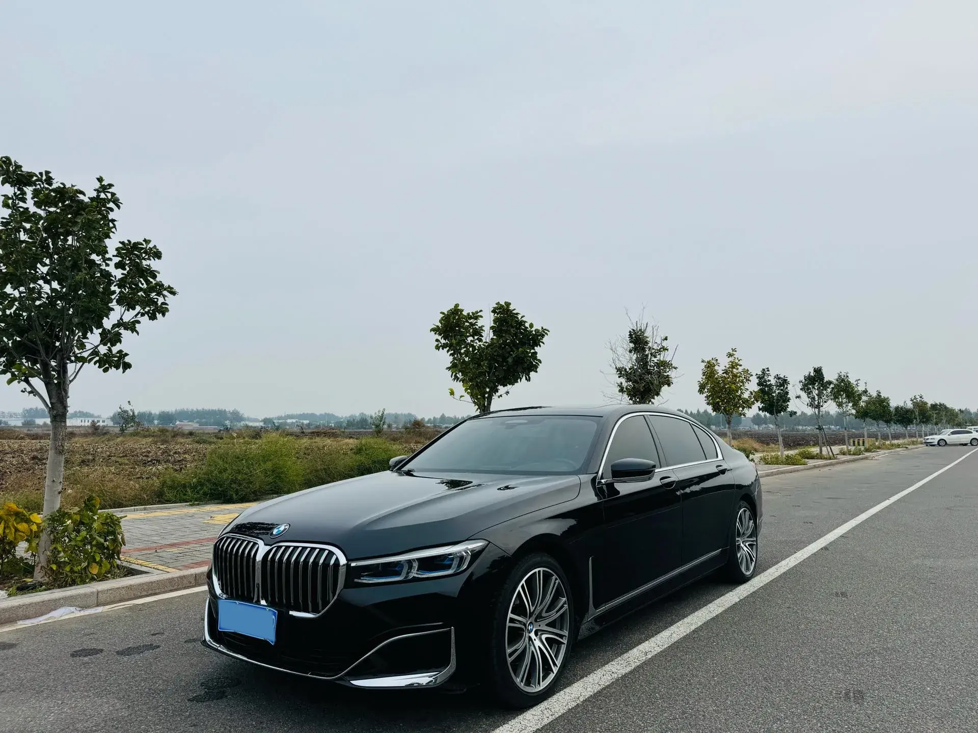 2019 BMW 7 thumbnail 3