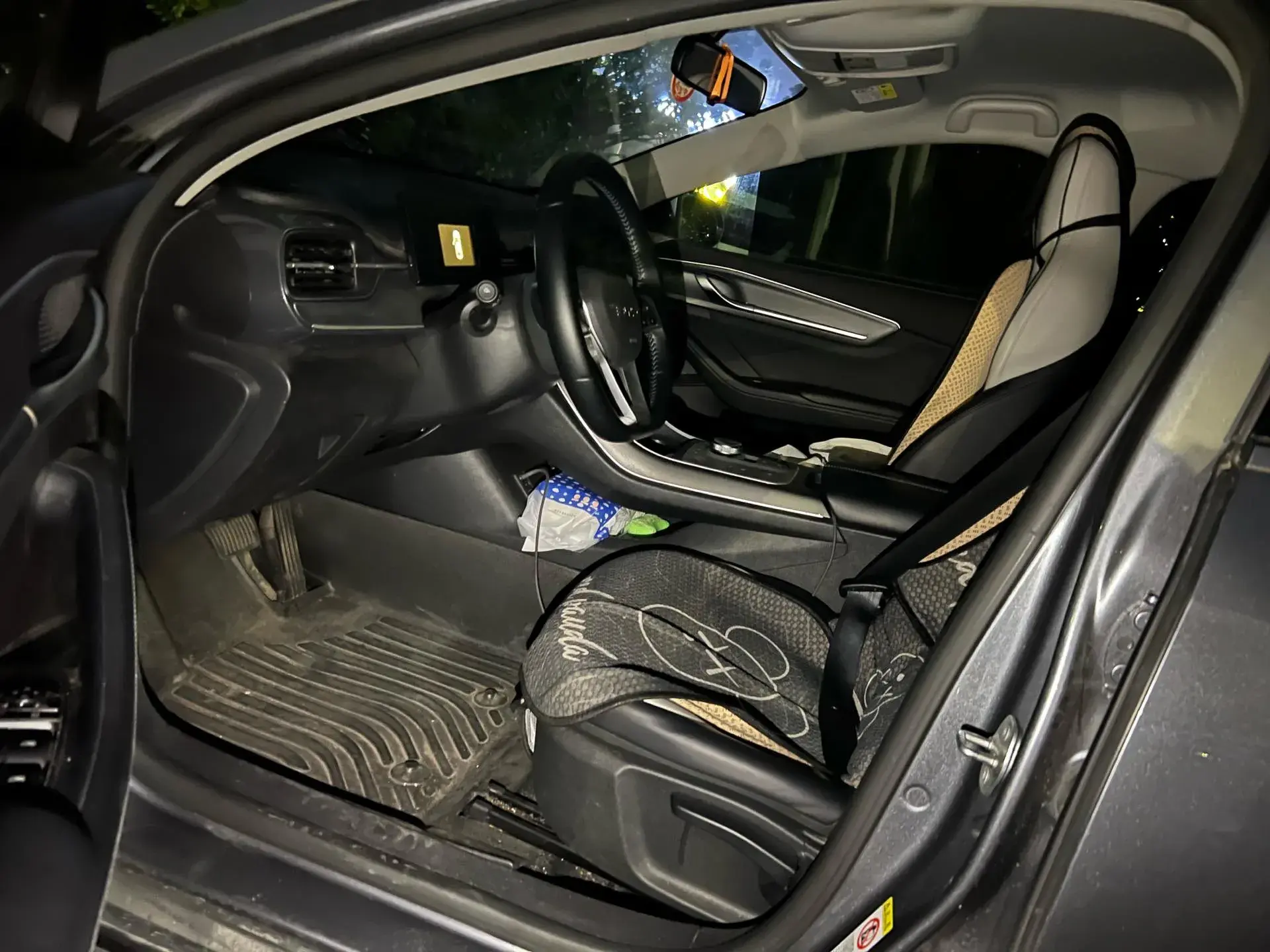 2024 BYD DESTROYER thumbnail 2