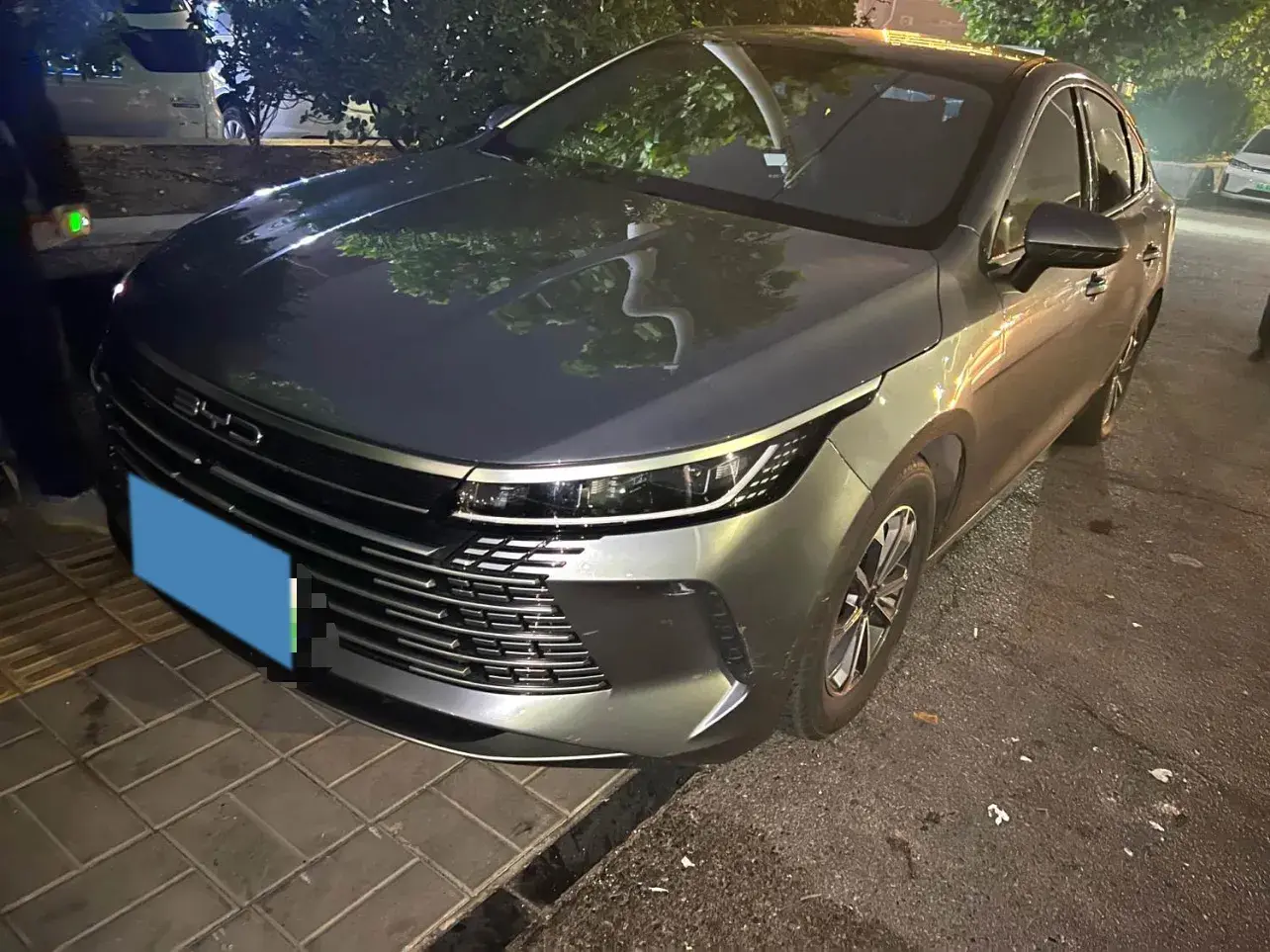 2024 BYD DESTROYER view 1